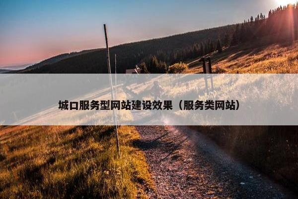 城口服务型网站建设效果（服务类网站）