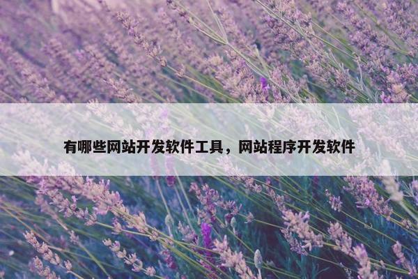 有哪些网站开发软件工具，网站程序开发软件