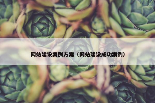 网站建设案例方案（网站建设成功案例）