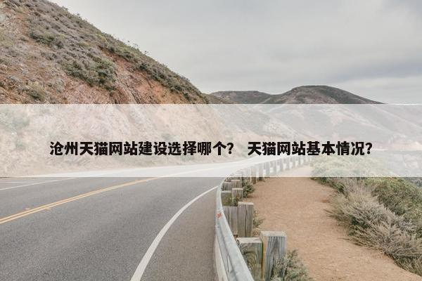 沧州天猫网站建设选择哪个？ 天猫网站基本情况？