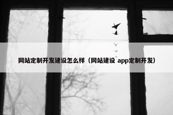 网站定制开发建设怎么样（网站建设 app定制开发）