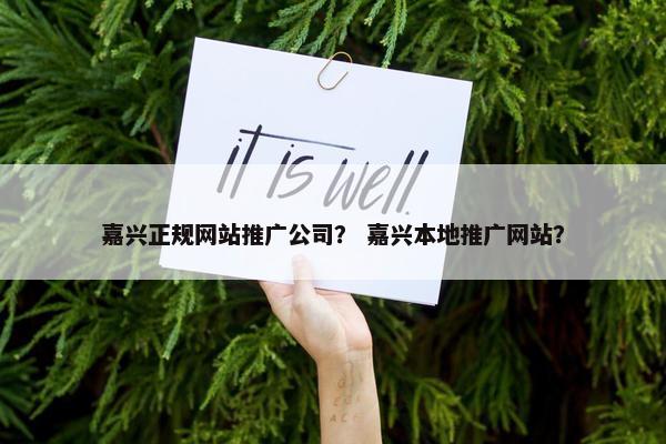 嘉兴正规网站推广公司？ 嘉兴本地推广网站？