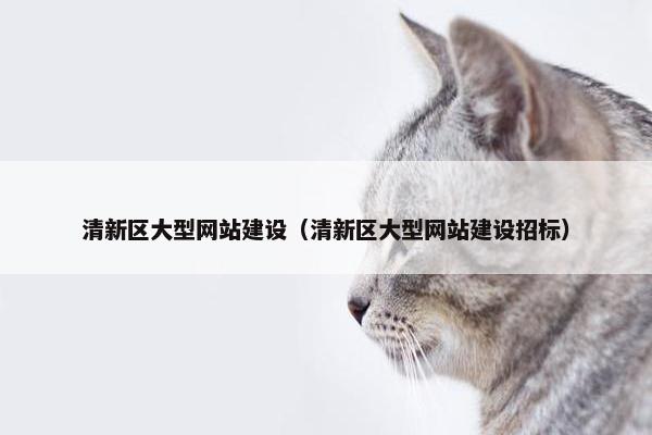 清新区大型网站建设（清新区大型网站建设招标）