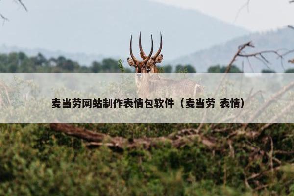 麦当劳网站制作表情包软件（麦当劳 表情）