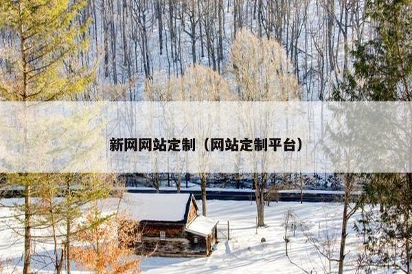 新网网站定制（网站定制平台）