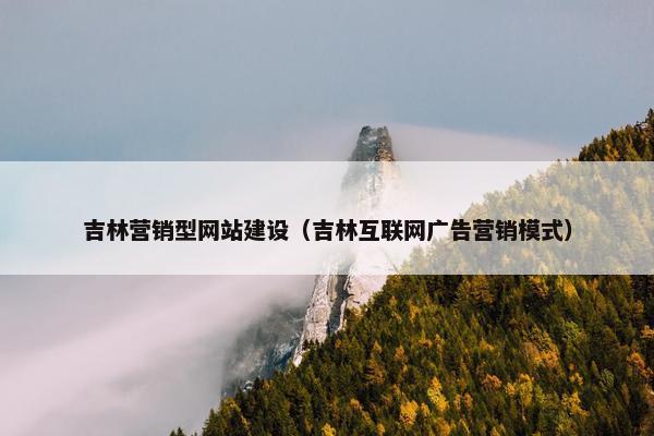 吉林营销型网站建设（吉林互联网广告营销模式）