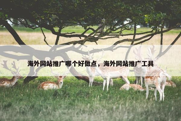 海外网站推广哪个好做点，海外网站推广工具
