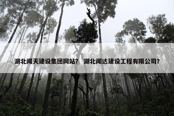 湖北闻天建设集团网站？ 湖北闻达建设工程有限公司？
