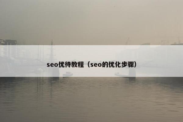 seo优待教程（seo的优化步骤）
