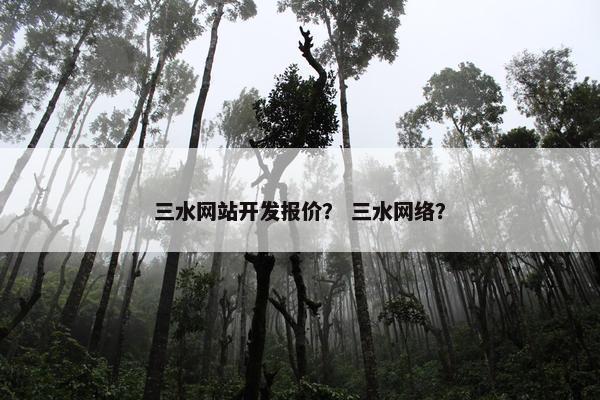 三水网站开发报价？ 三水网络？