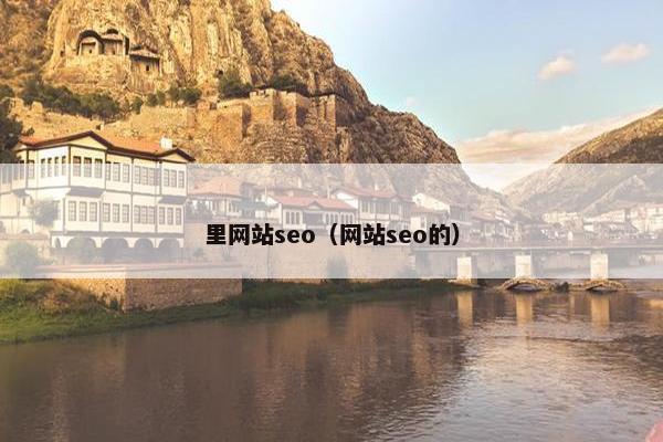里网站seo（网站seo的）