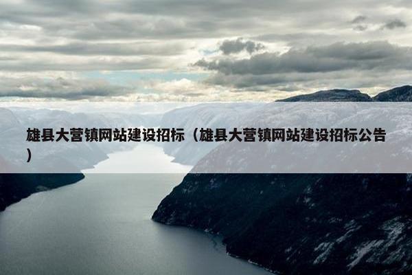 雄县大营镇网站建设招标（雄县大营镇网站建设招标公告）