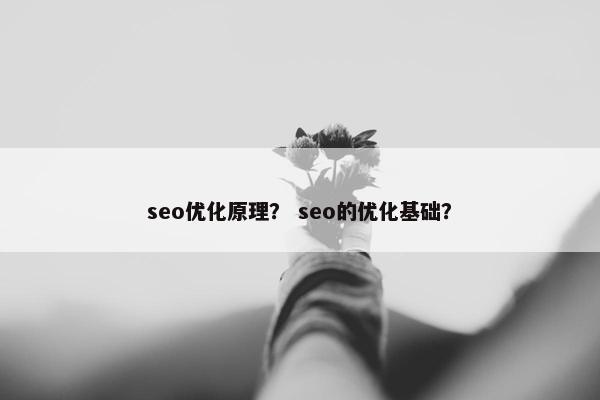 seo优化原理？ seo的优化基础？