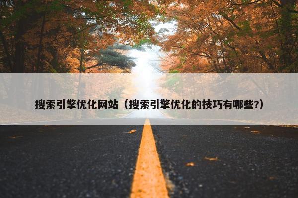 搜索引擎优化网站（搜索引擎优化的技巧有哪些?）