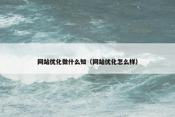 网站优化做什么知（网站优化怎么样）