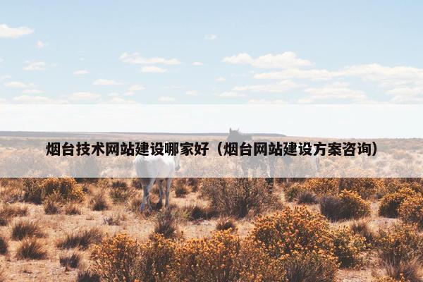 烟台技术网站建设哪家好（烟台网站建设方案咨询）