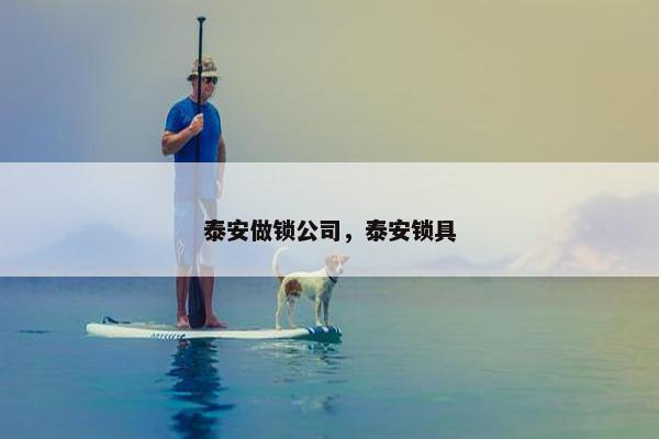 泰安做锁公司，泰安锁具