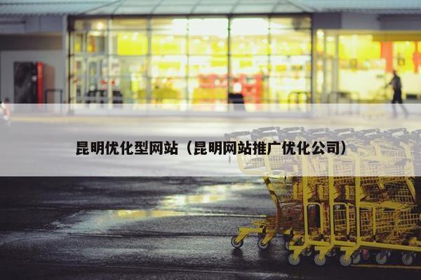 昆明优化型网站（昆明网站推广优化公司）