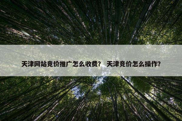 天津网站竞价推广怎么收费？ 天津竞价怎么操作？