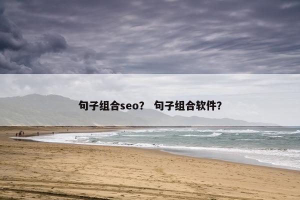 句子组合seo？ 句子组合软件？