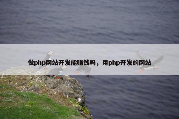 做php网站开发能赚钱吗，用php开发的网站