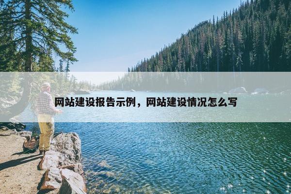 网站建设报告示例，网站建设情况怎么写