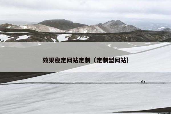 效果稳定网站定制（定制型网站）