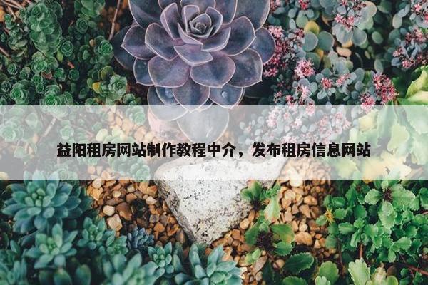 益阳租房网站制作教程中介，发布租房信息网站