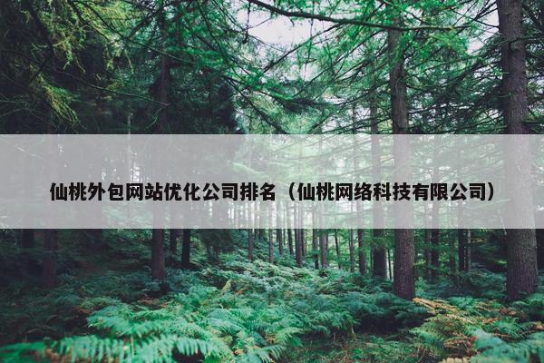 仙桃外包网站优化公司排名（仙桃网络科技有限公司）