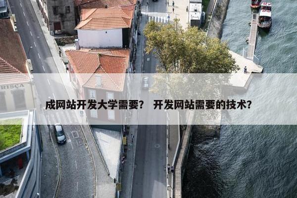 成网站开发大学需要？ 开发网站需要的技术？