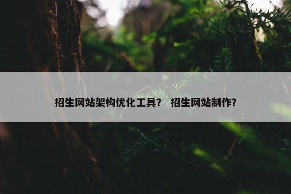 招生网站架构优化工具？ 招生网站制作？