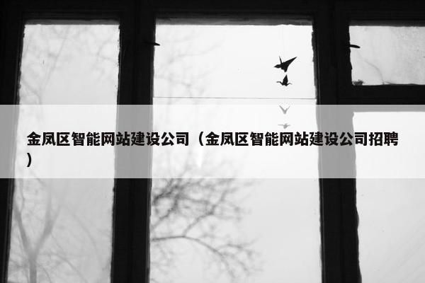 金凤区智能网站建设公司（金凤区智能网站建设公司招聘）