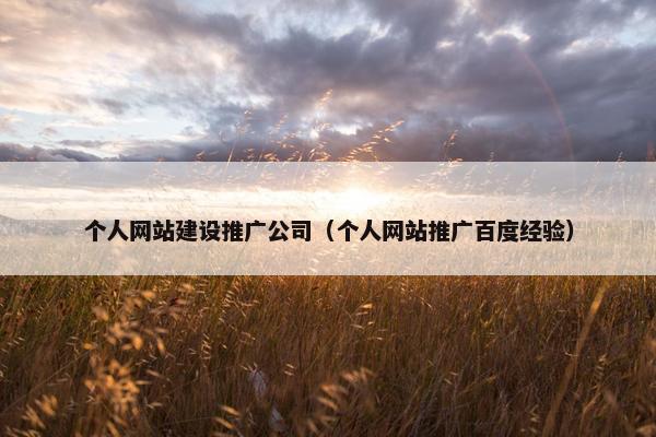 个人网站建设推广公司（个人网站推广百度经验）