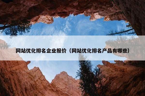 网站优化排名企业报价（网站优化排名产品有哪些）