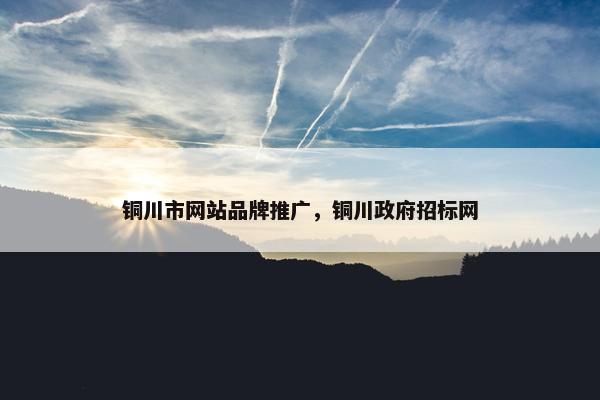铜川市网站品牌推广，铜川政府招标网