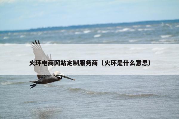 火环电商网站定制服务商（火环是什么意思）