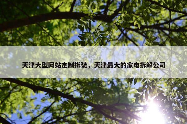 天津大型网站定制拆装，天津最大的家电拆解公司