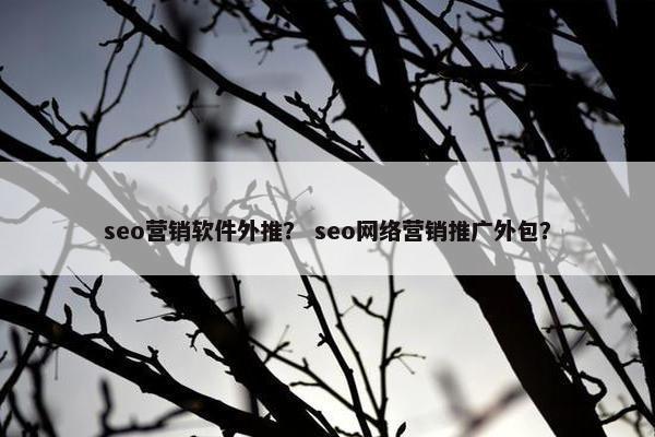seo营销软件外推？ seo网络营销推广外包？