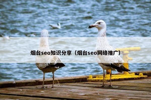 烟台seo知识分享（烟台seo网络推广）