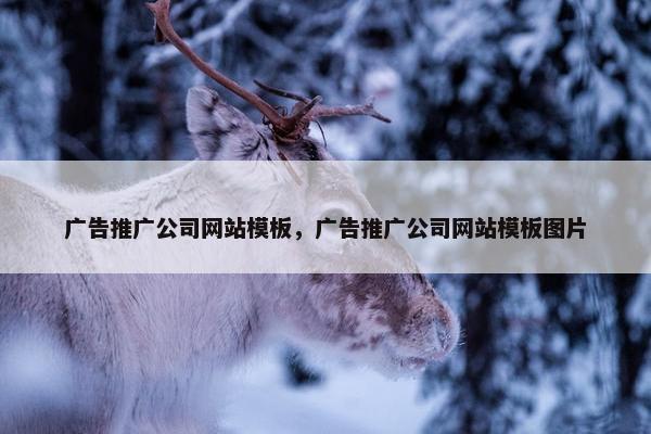 广告推广公司网站模板，广告推广公司网站模板图片