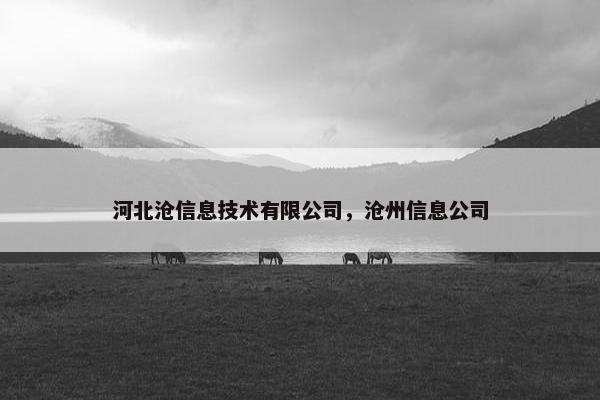 河北沧信息技术有限公司，沧州信息公司