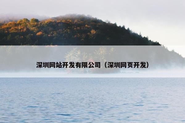 深圳网站开发有限公司（深圳网页开发）