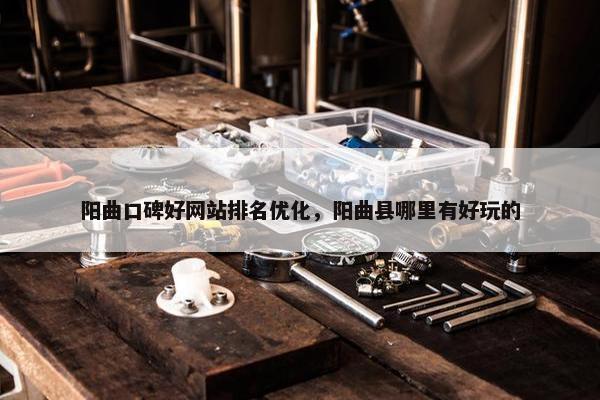 阳曲口碑好网站排名优化，阳曲县哪里有好玩的