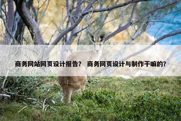 商务网站网页设计报告？ 商务网页设计与制作干嘛的？