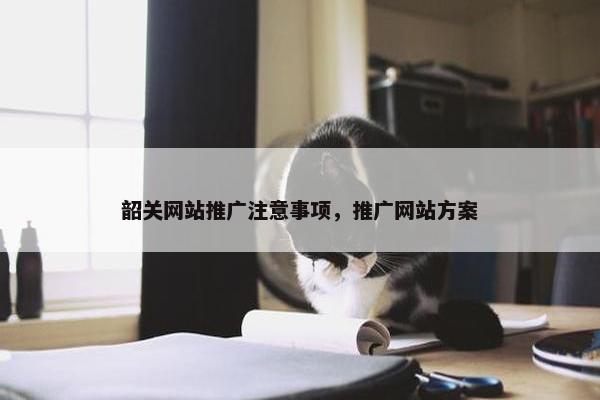 韶关网站推广注意事项，推广网站方案