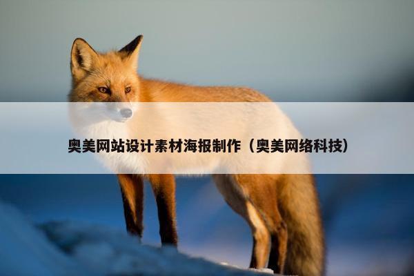 奥美网站设计素材海报制作（奥美网络科技）