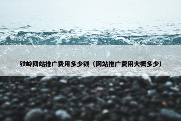 铁岭网站推广费用多少钱（网站推广费用大概多少）