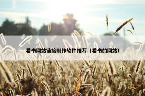 看书网站链接制作软件推荐（看书的网站）