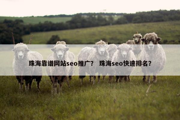 珠海靠谱网站seo推广？ 珠海seo快速排名？