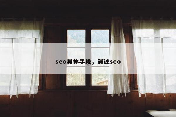 seo具体手段，简述seo
